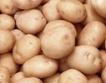 BASF  готова да произвежда ГМ картоф за хора