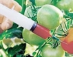 0.9% ГМО в продуктите със специален етикет 