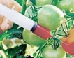 0.9% ГМО в продуктите със специален етикет