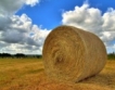 Румъния: 30% от земеделската земя е чужда собственост