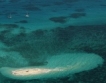 Загива ли Големият бариерен риф? + видео