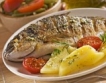 WWF България организира кулинарен конкурс