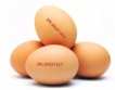 България - основен вносител на яйца в Украйна