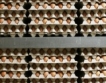 Фипронил в яйца с номера 3BG04001, 1BG04001 и 3BG04003