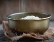 Китай ще отглежда ориз в солени почви