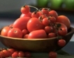 Родните домати се изнасят, у нас внос от Гърция