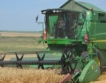 215 кг от пшеница в Добричка община