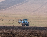 Зърнените площи са 60% от обработваемата земя